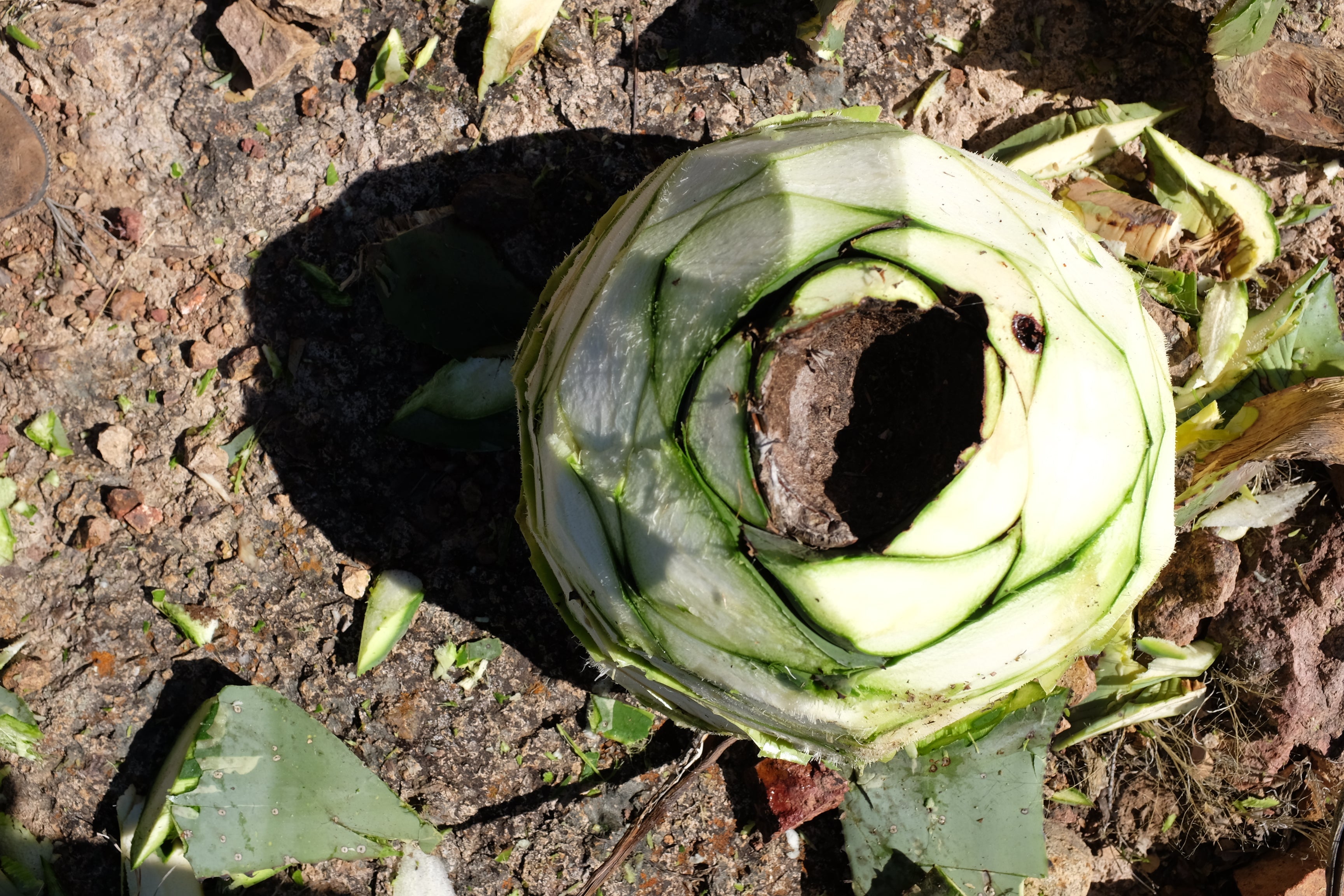 DSCF1628_db17385e-a2af-4e04-