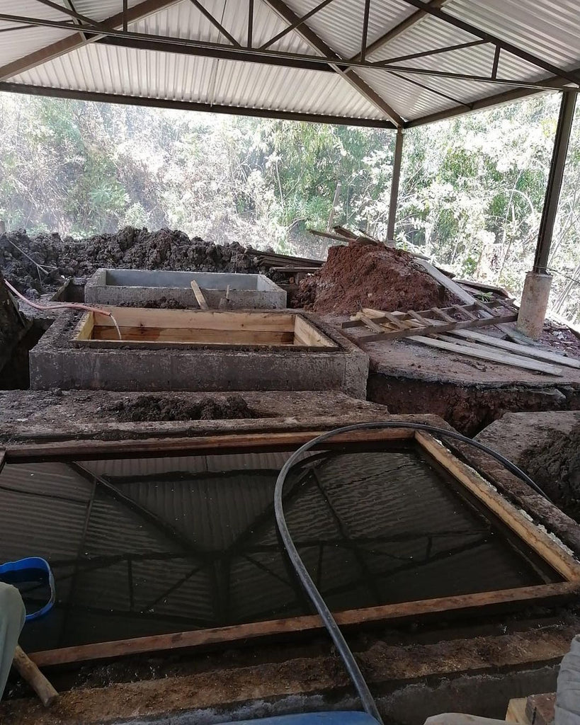 Fermentation michoacan