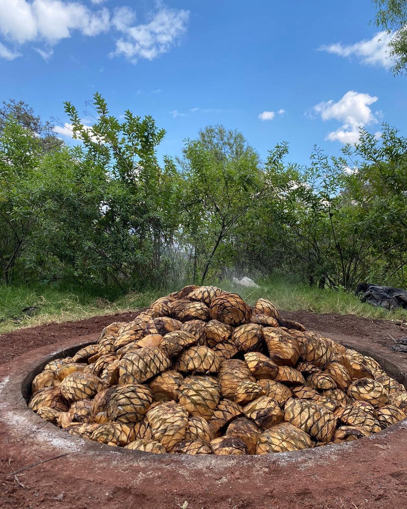 Agave Oven