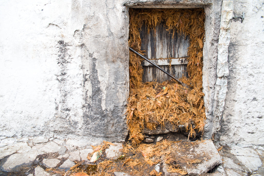 Sealed oven with spent agave fiber
