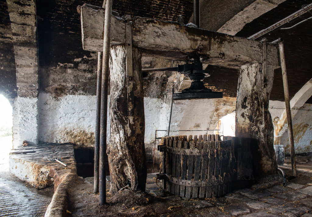 Agave press or Trapiche