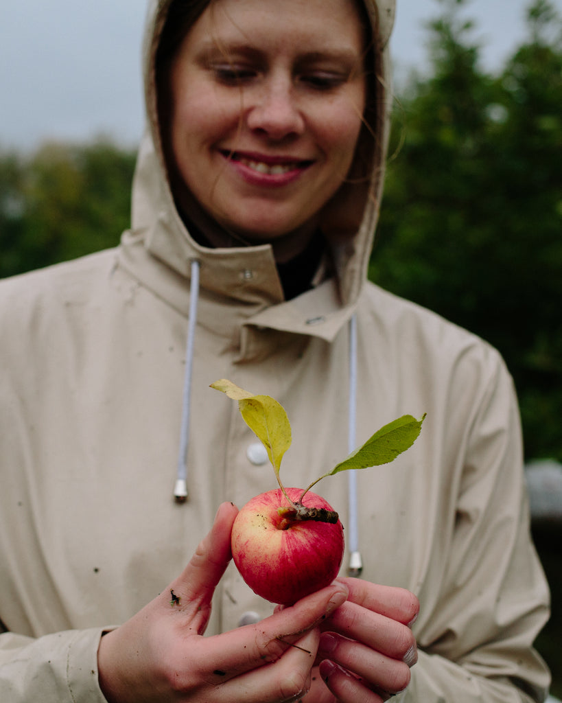 Harvest finds