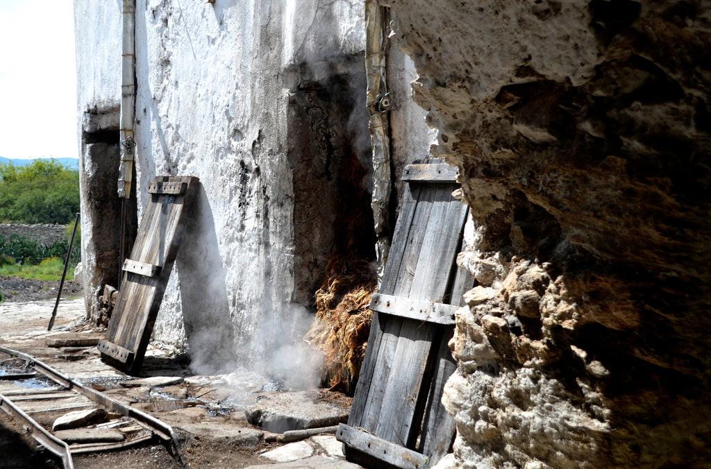 Agave Oven  freshly open with steam perking out