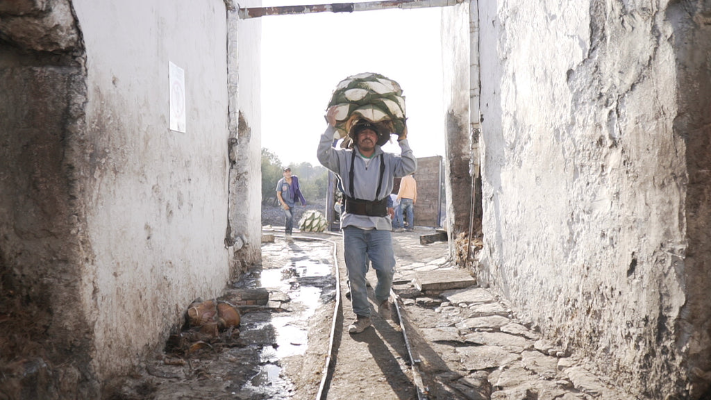 Workers Loading oven with Ripe Salmiana