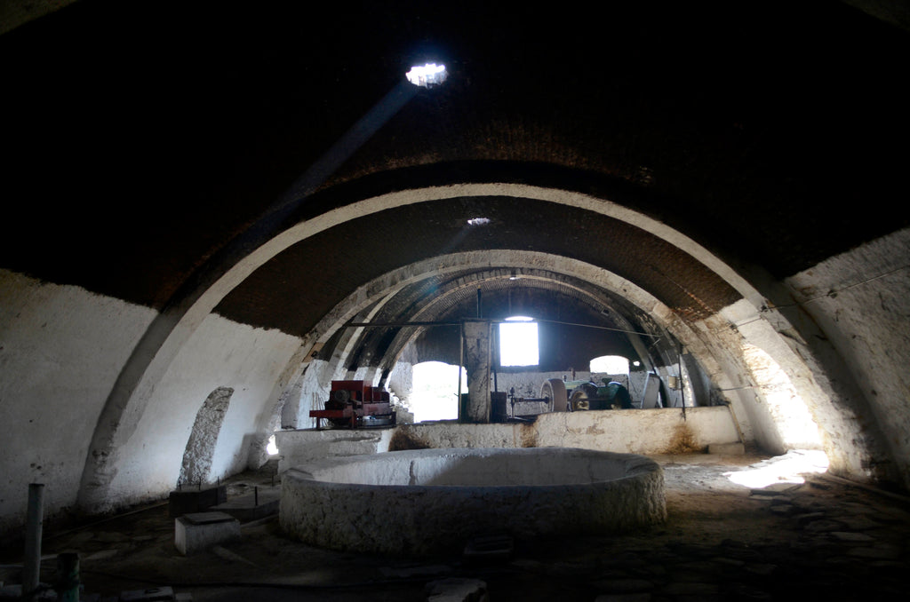 Inside distillery Derrumbes San Luis Potosi
