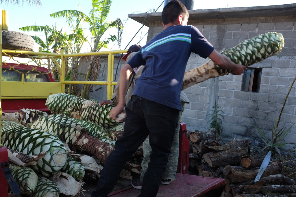 unloading Bicuixe piñas