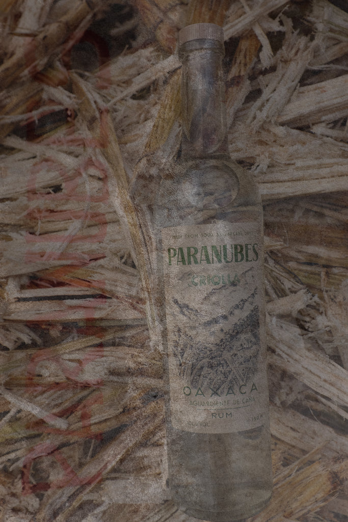 Double exposure Paranubes criolla