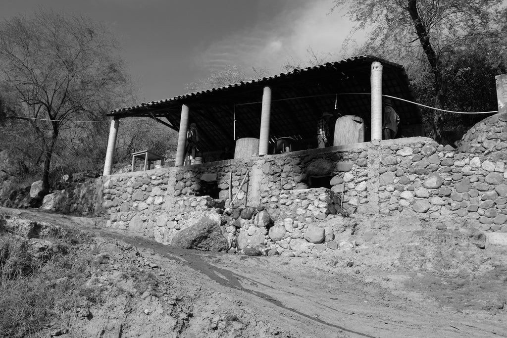 La Venenosa Sierra de Amula from bellow 