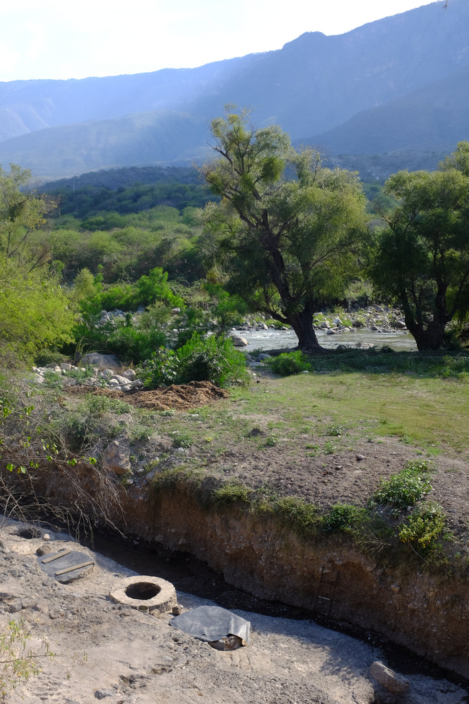 La Venenosa Sierra de Amula Fermentation & River