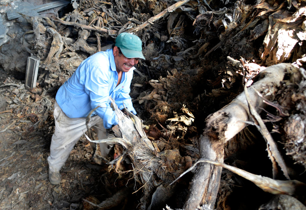 Worker sorting out dry matter for the oven