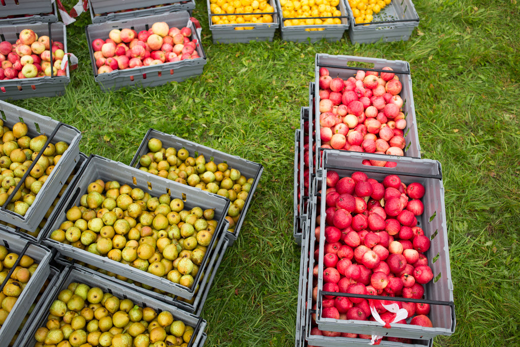 Appels and Pears!