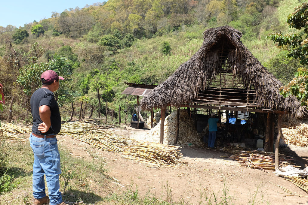 Jose Luis Carrera at trapiche Paranubes