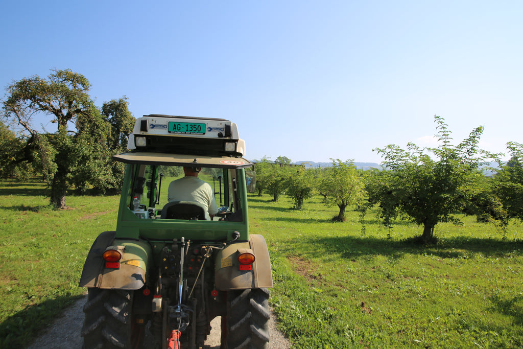 Hauling the precious apple cargo