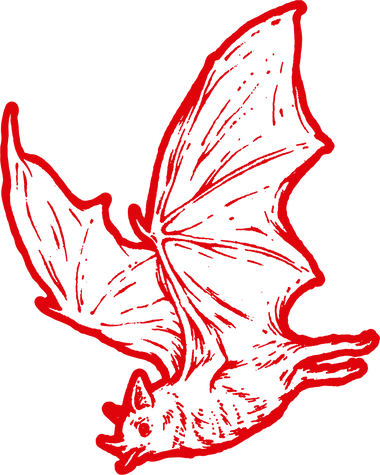 Bats is the most effective Pollinizer in the world 