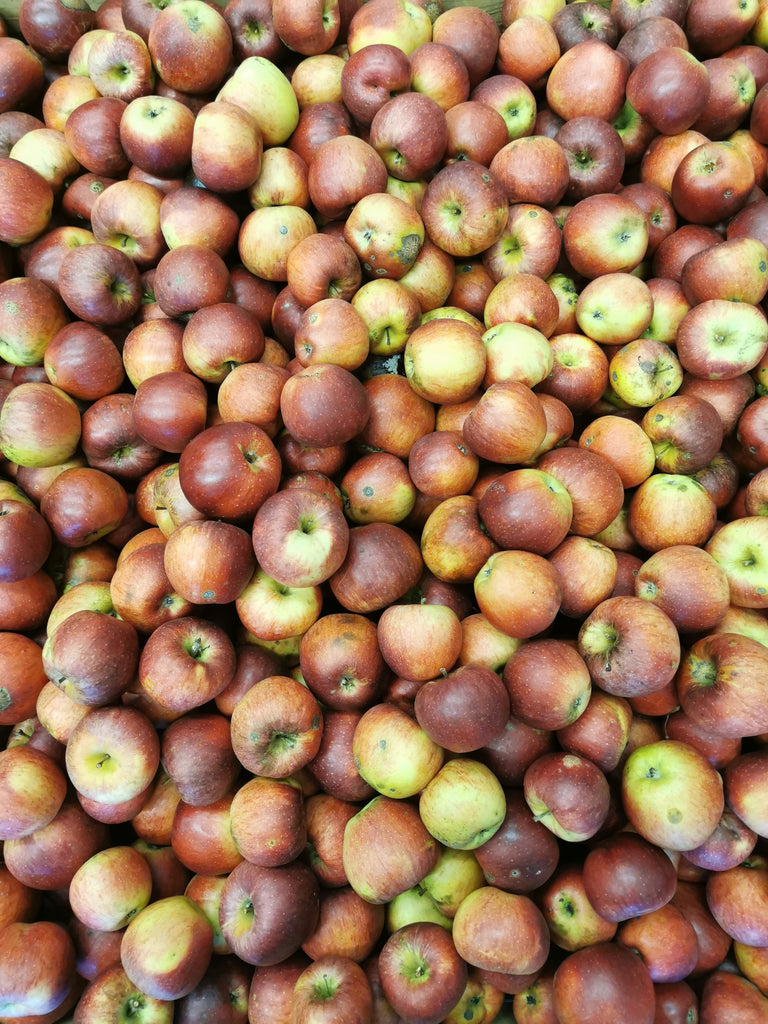 Apllle Wiler Rot variety