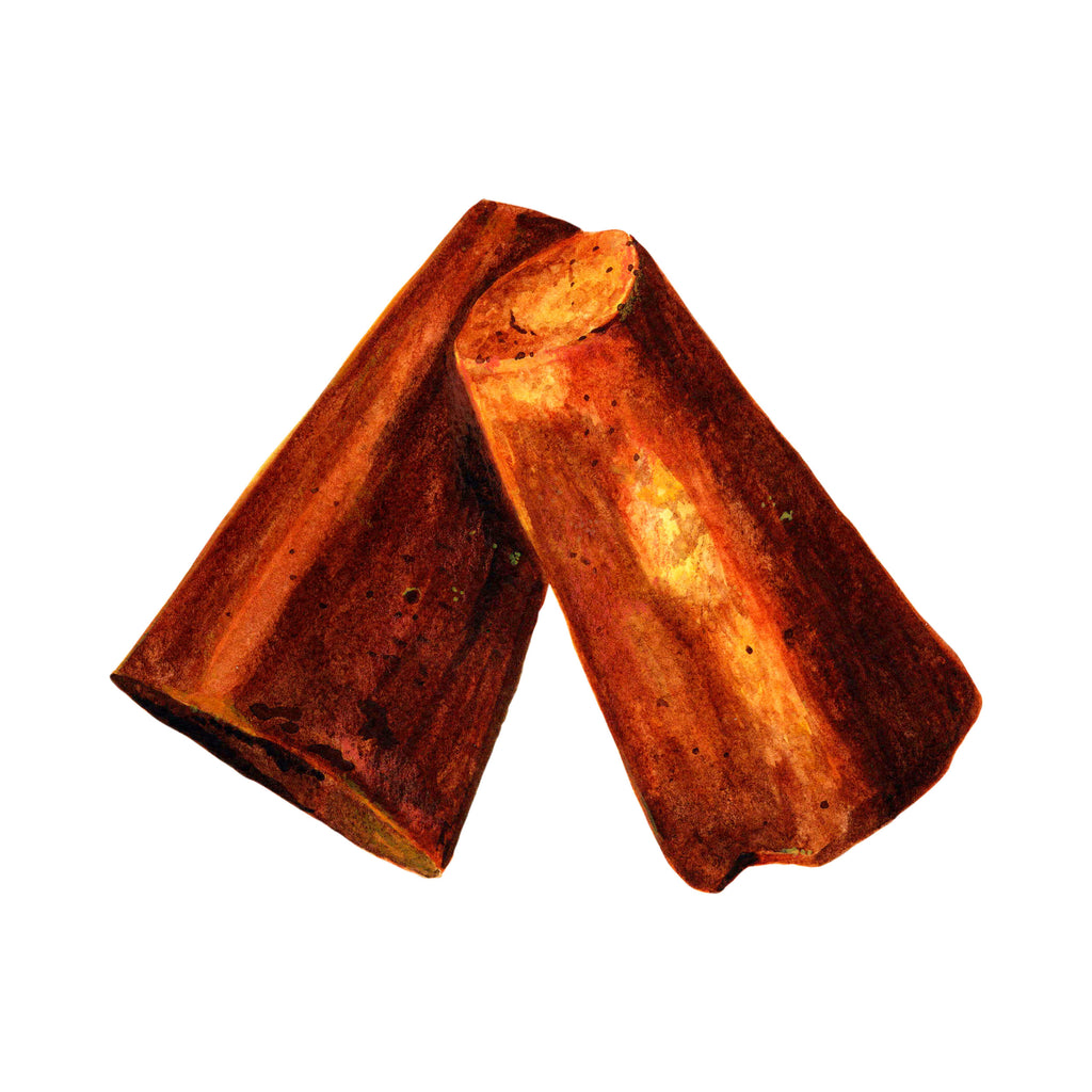 Panela Raw cane sugar