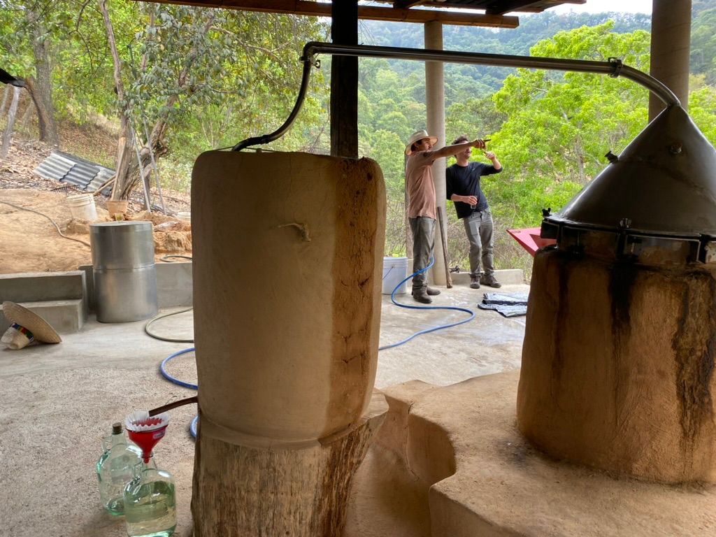 Single distillation still Bonete sierra