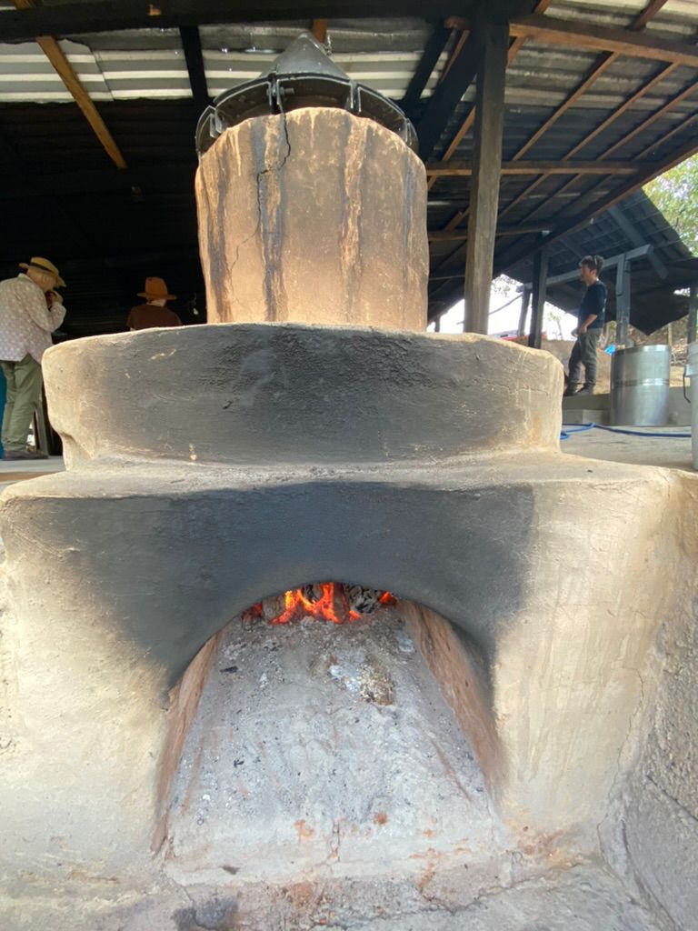 Still Bonete Sierra other angle