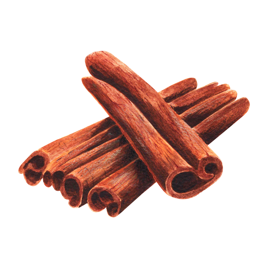 Cinnamon sticks on a white background