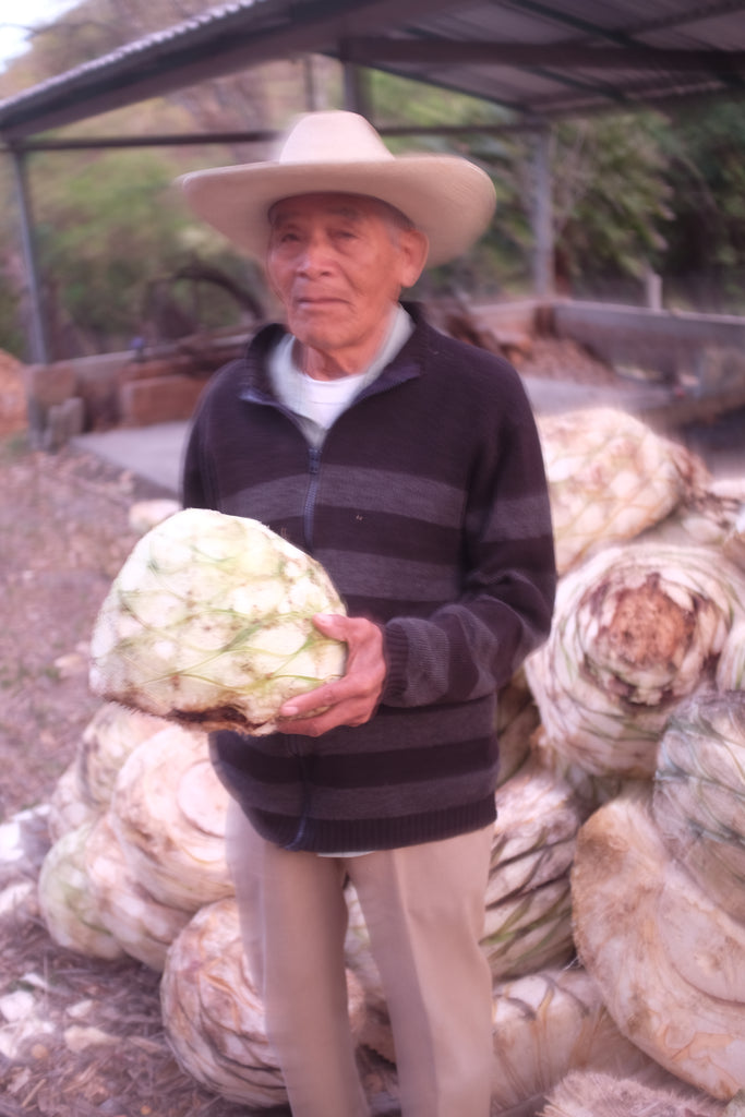 Don Tomas Aguerrido holding agave blur