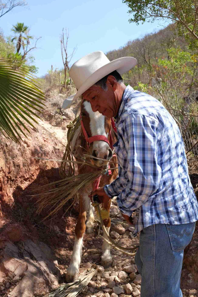 Don Refugio with horse Aguerrido 