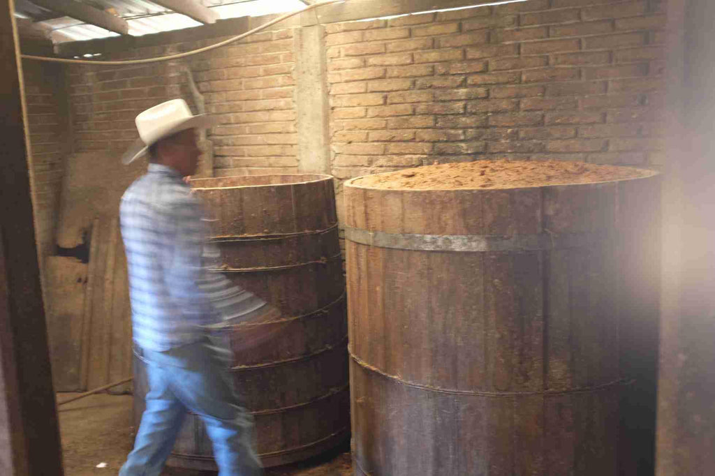 Don Refugio inspecting Fermentations Vats Aguerrido 