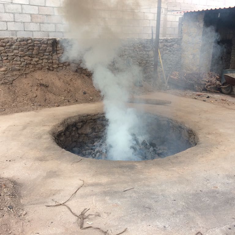 La Higuera Sotol leiophyllum Oven