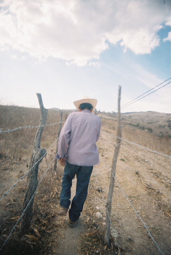 On the analog road with Don Antonio