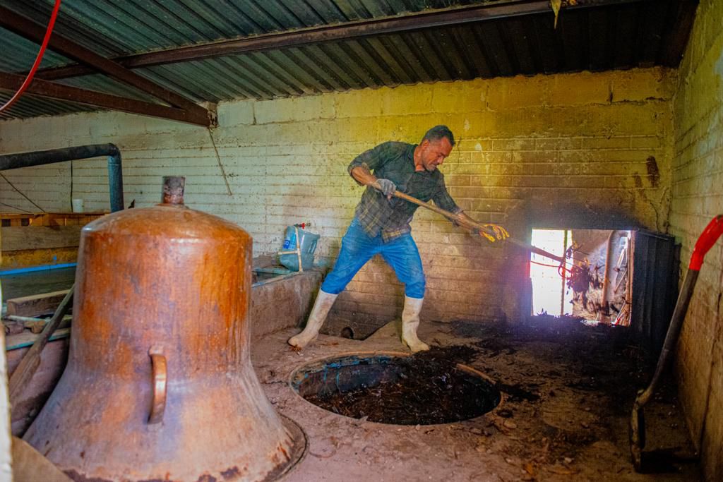 La Higuera Sotol Cedrosanum cleaning copper still